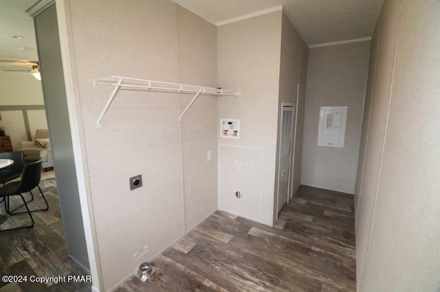 washroom featuring laundry area, hookup for a washing machine, wood finished floors, and hookup for an electric dryer