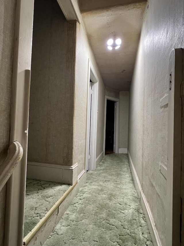 233 W Broad St, Tamaqua, PA 18252 - hall featuring carpet flooring