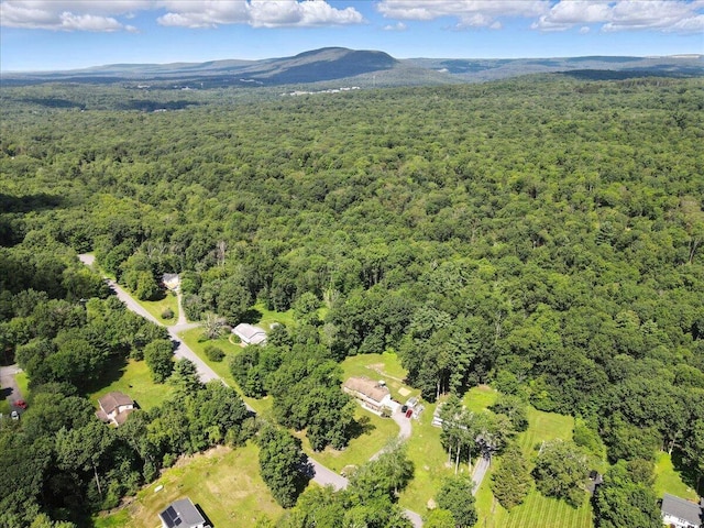 52 Bull Pine Rd, East Stroudsburg, PA 18301 - bird's eye view of a heavily wooded area