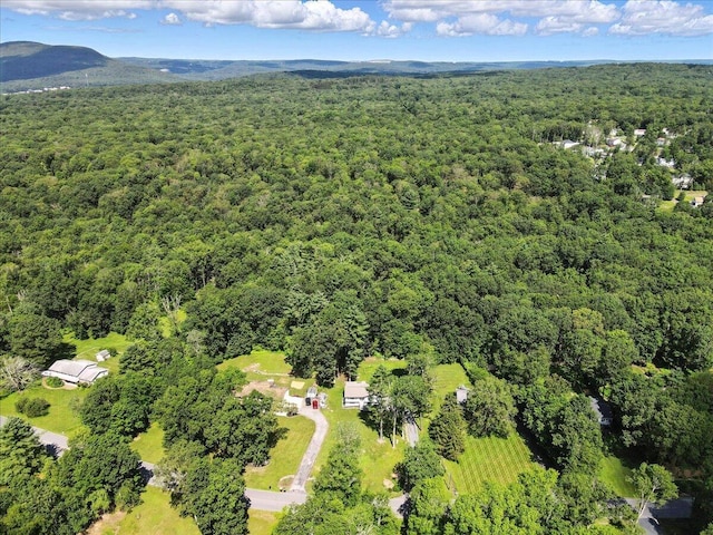 52 Bull Pine Rd, East Stroudsburg, PA 18301 - drone / aerial view of a forest