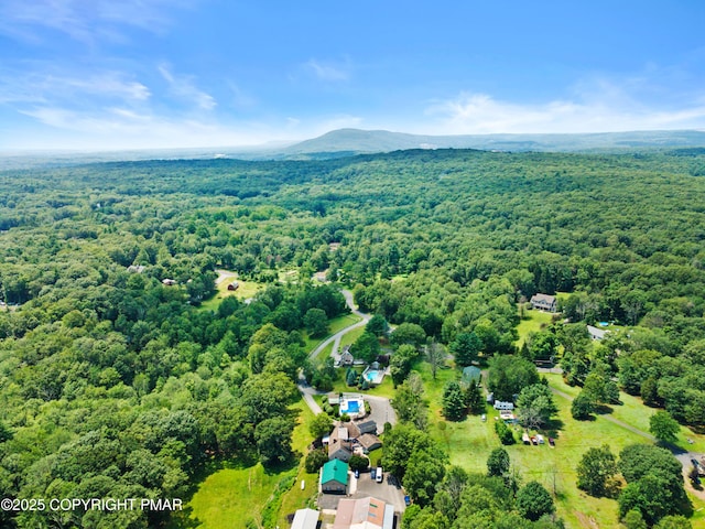 598 Fish Hill Rd, East Stroudsburg, PA 18301 - photo 82