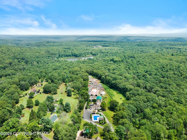 598 Fish Hill Rd, East Stroudsburg, PA 18301 - photo 81