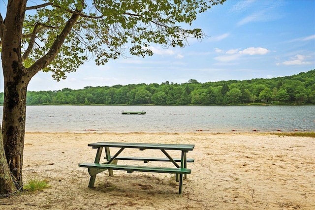 property view of water featuring a view of trees