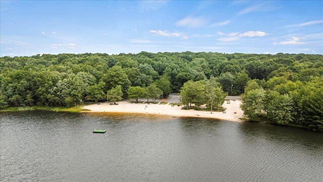 water view featuring a forest view
