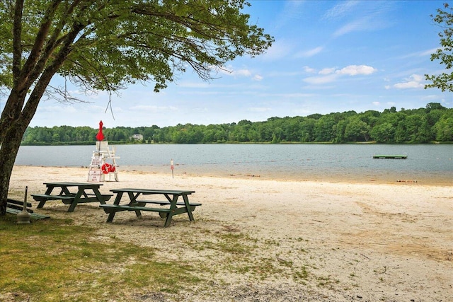 water view with a forest view