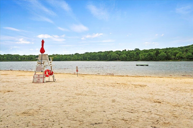 water view with a view of trees