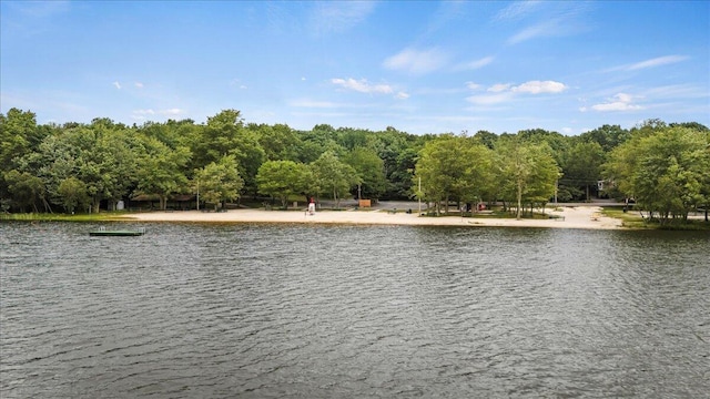 property view of water