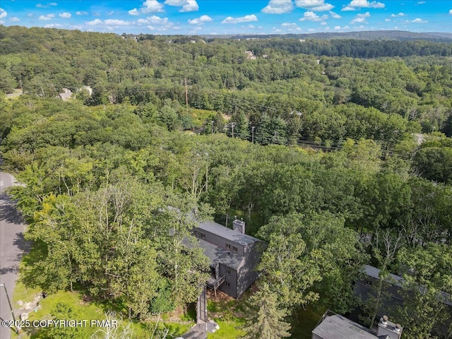 97 Cross Country Ln, Tannersville, PA 18372 - photo 22