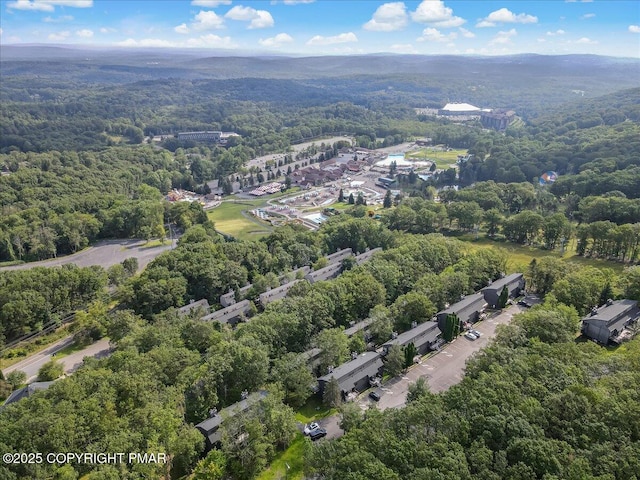 97 Cross Country Ln, Tannersville, PA 18372 - photo 47
