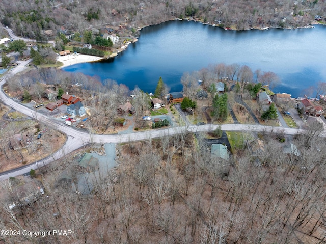 465 Lakeview Dr, Lake Ariel PA, 18436 land for sale