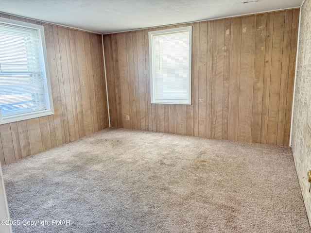 unfurnished room with wood walls and carpet flooring