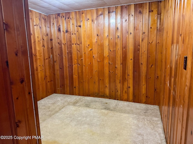 carpeted spare room with wooden walls