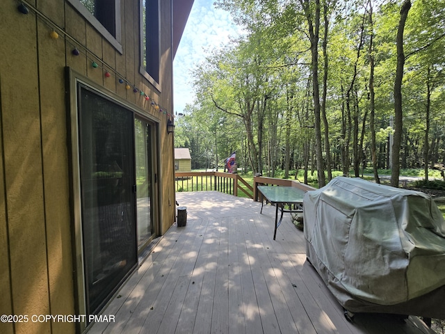 8 Running Bear Ln, Albrightsville, PA 18210 - photo 19
