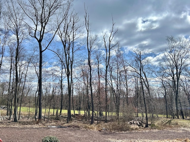565 Ridge Rd, Bangor, PA 18013 - view of landscape featuring a view of trees