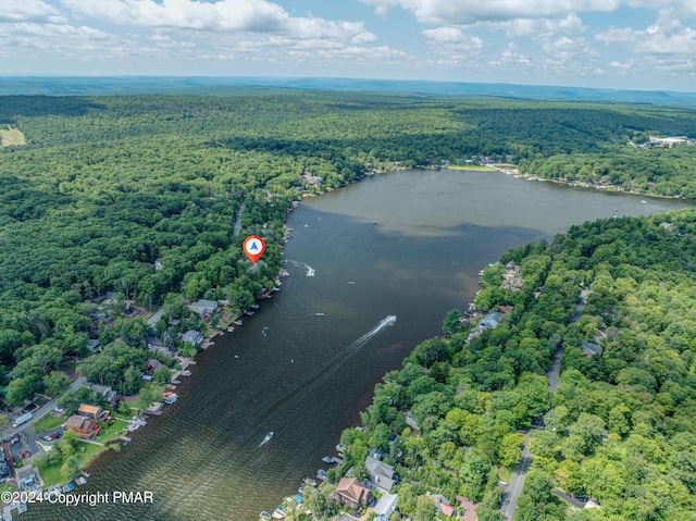 birds eye view of property featuring a water view and a wooded view