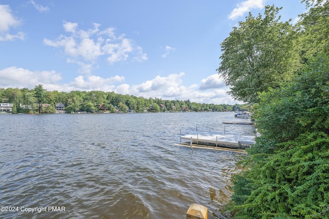 dock area featuring a water view