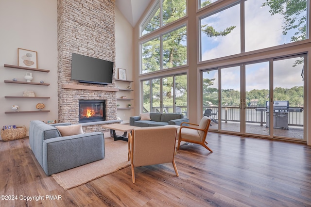 living room featuring high vaulted ceiling, wood finished floors, and a fireplace