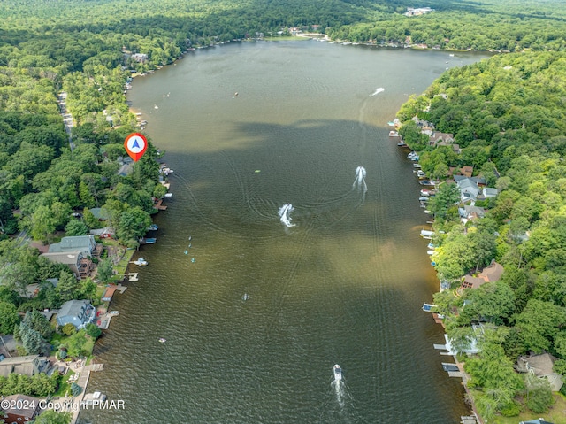 aerial view featuring a water view and a forest view
