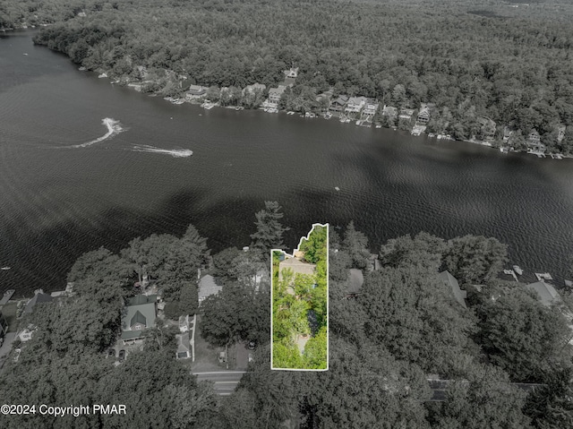 aerial view with a water view and a view of trees