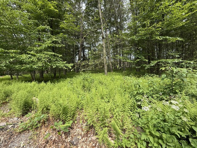 Ferncrest, Blakeslee, PA 18610 - photo 5