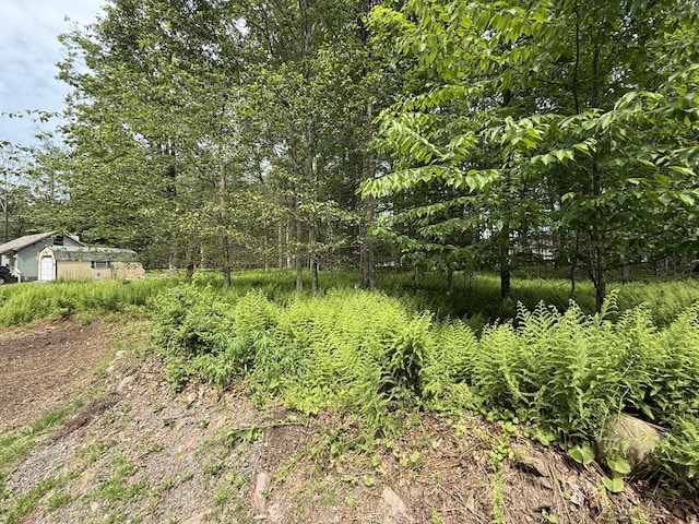 Ferncrest, Blakeslee, PA 18610 - photo 1