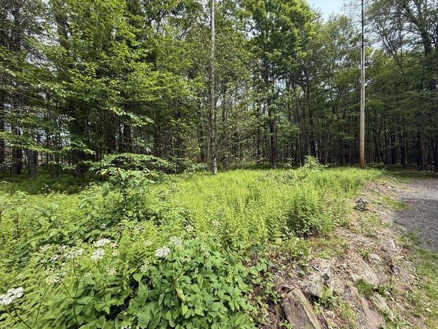 Ferncrest, Blakeslee, PA 18610 - photo 3