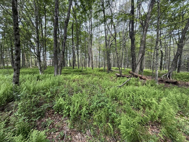 Ferncrest, Blakeslee, PA 18610 - photo 10
