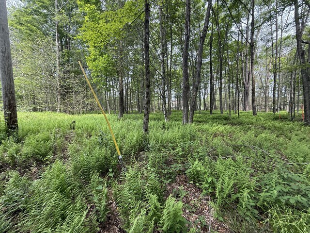 Ferncrest, Blakeslee, PA 18610 - photo 8