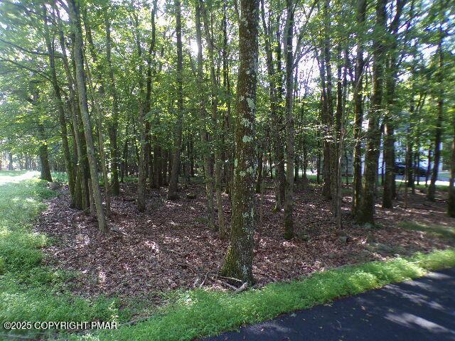 LIII712 Juniper Ln, Albrightsville, PA 18210 - photo 1