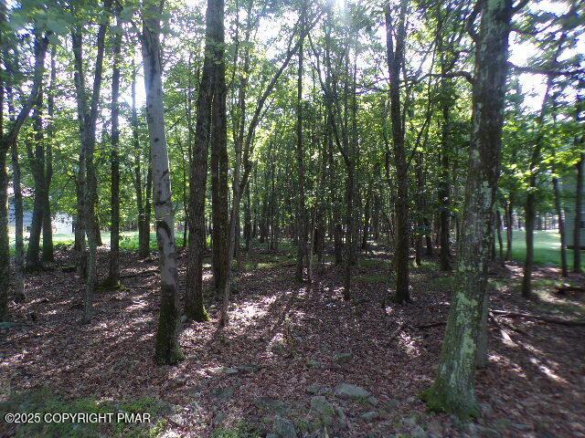 LIII712 Juniper Ln, Albrightsville, PA 18210 - photo 2