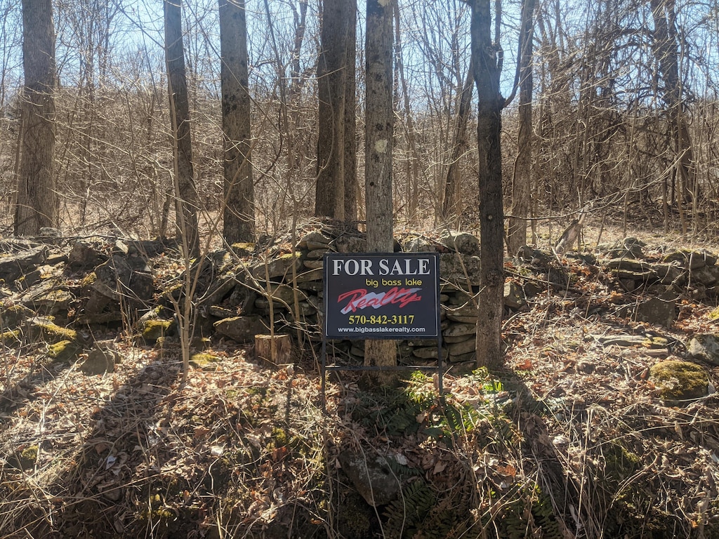 7 Maple Grove Rd, Moscow, PA 18444