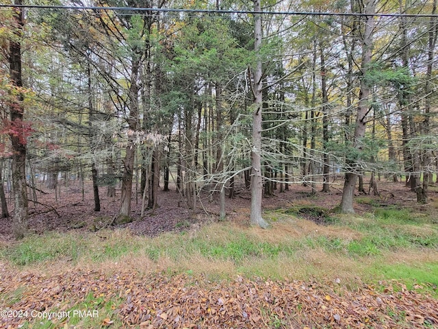 33 Netcong Cir, Pocono Lake PA, 18347 land for sale