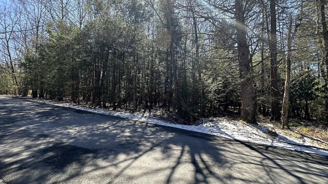 LOT1114 Sunset Dr, Pocono Summit, PA 18346 - photo 3
