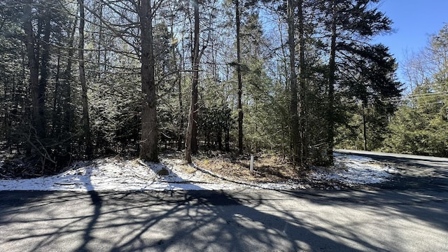 LOT1114 Sunset Dr, Pocono Summit, PA 18346 - photo 2