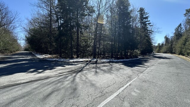 LOT1114 Sunset Dr, Pocono Summit, PA 18346 - photo 6