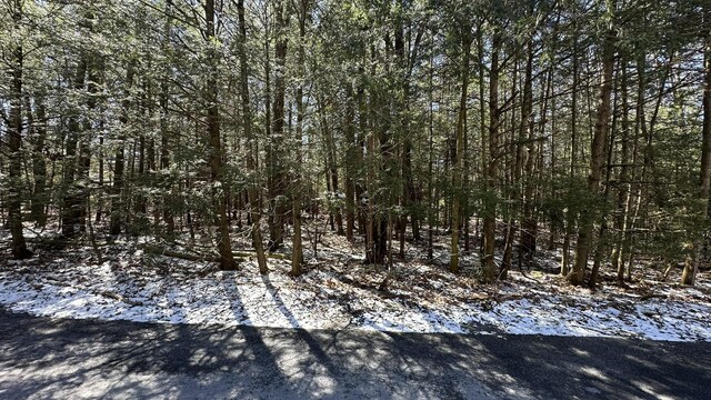 LOT1114 Sunset Dr, Pocono Summit, PA 18346 - photo 4