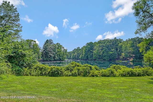 125 Stoneleigh Dr, East Stroudsburg, PA 18301 - photo 77