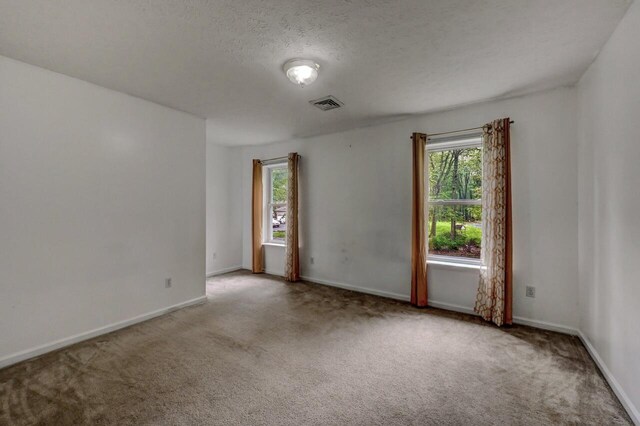 1162 Colt Ln, Pocono Summit, PA 18346 - spare room featuring healthy amount of natural light, carpet floors, and a textured ceiling