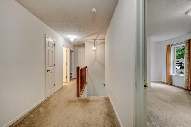 1162 Colt Ln, Pocono Summit, PA 18346 - hall with an upstairs landing, a textured ceiling, carpet flooring, and attic access