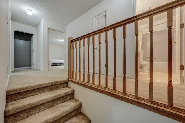 1162 Colt Ln, Pocono Summit, PA 18346 - stairs with carpet