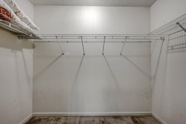 1162 Colt Ln, Pocono Summit, PA 18346 - view of walk in closet