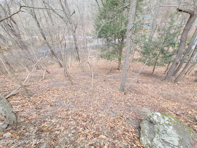 Listing photo 3 for LOT65 Woodcrest Dr, East Stroudsburg PA 18302