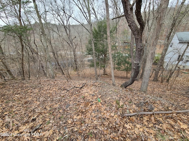 Listing photo 2 for LOT65 Woodcrest Dr, East Stroudsburg PA 18302