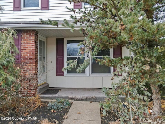 doorway to property featuring board and batten siding and brick siding