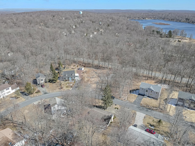 9148 Brandywine Dr, Tobyhanna, PA 18466 - bird's eye view of a forest and a large body of water