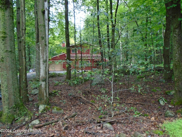 view of local wilderness with a forest view