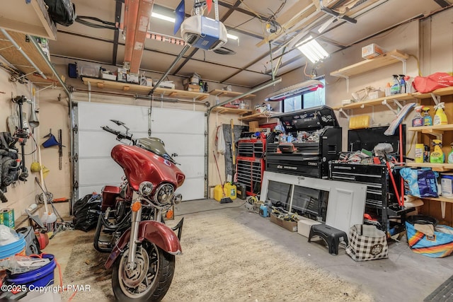 garage with a garage door opener