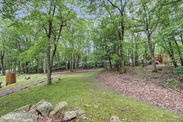 94 Red Fox Ct, Lake Harmony, PA 18624 - photo 35