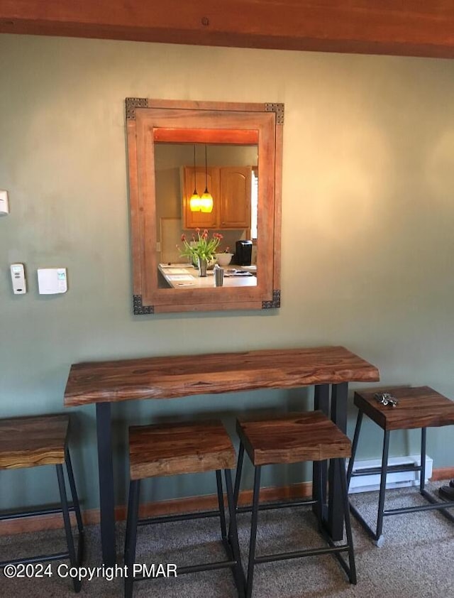 dining room featuring carpet floors, baseboards, and baseboard heating