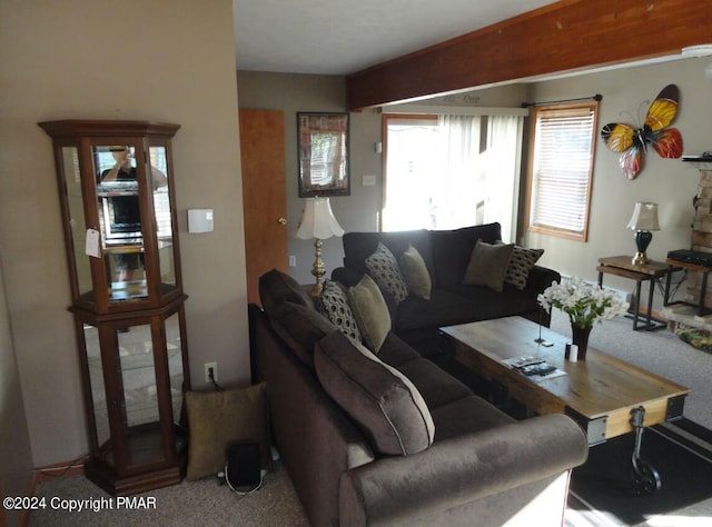 living room with carpet